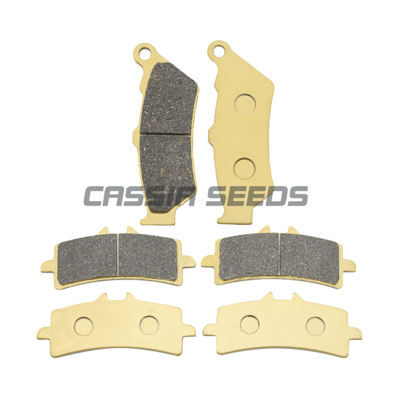 Carbon Ceramic Motorcycle Brake Rotor - Pastilhas de freio dianteiro e traseiro